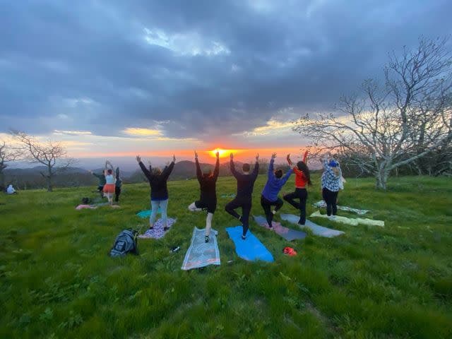 exploreasheville.com exploreasheville.com