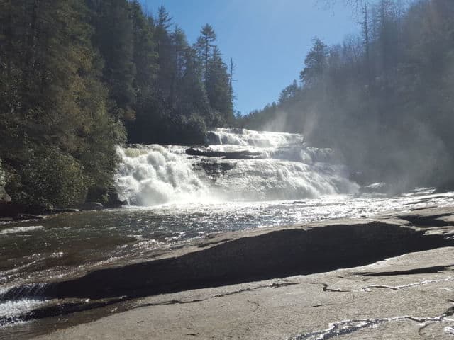 exploreasheville.com exploreasheville.com