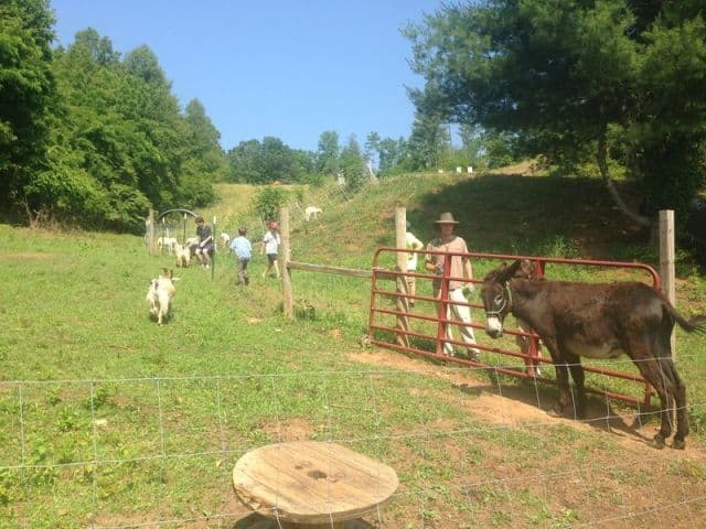 exploreasheville.com exploreasheville.com