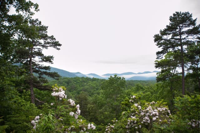 exploreasheville.com exploreasheville.com