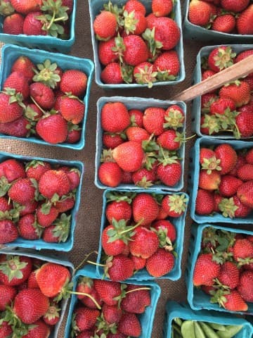 exploreasheville.com exploreasheville.com