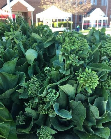 exploreasheville.com exploreasheville.com