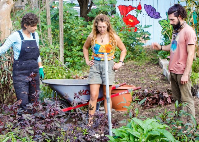 exploreasheville.com exploreasheville.com