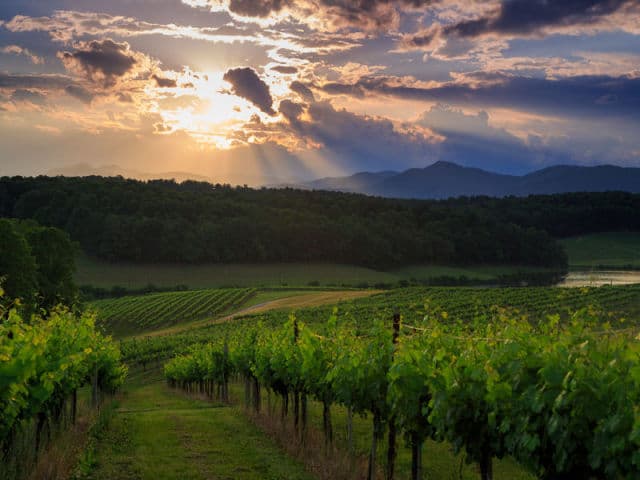 exploreasheville.com exploreasheville.com