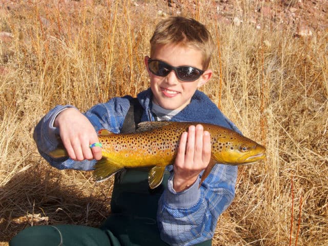 exploreasheville.com exploreasheville.com