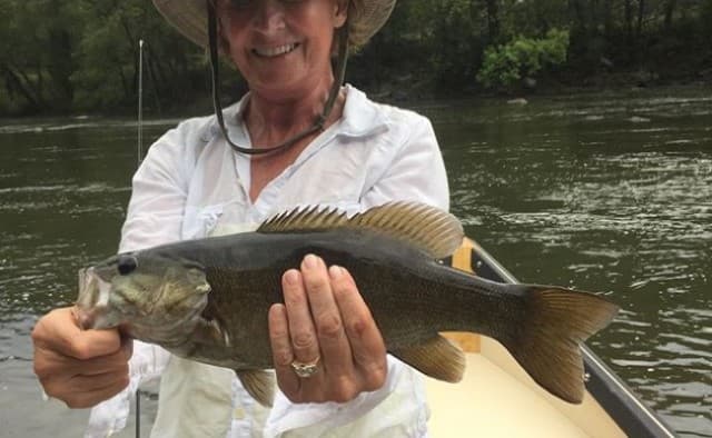 exploreasheville.com exploreasheville.com