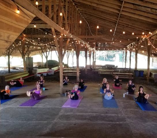 exploreasheville.com exploreasheville.com