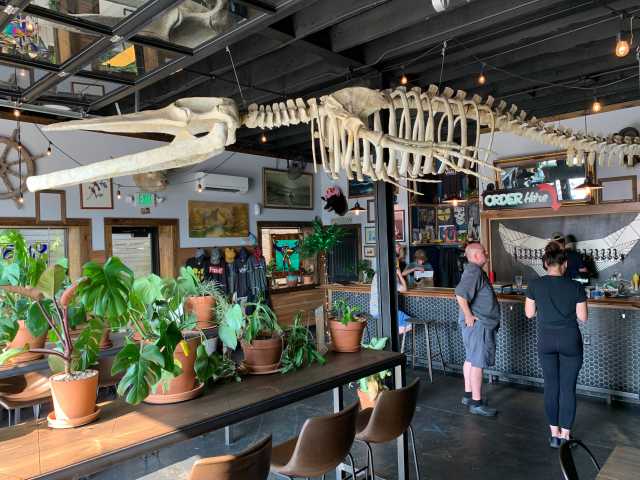 exploreasheville.com exploreasheville.com