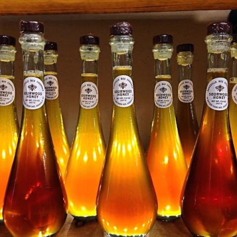 exploreasheville.com exploreasheville.com