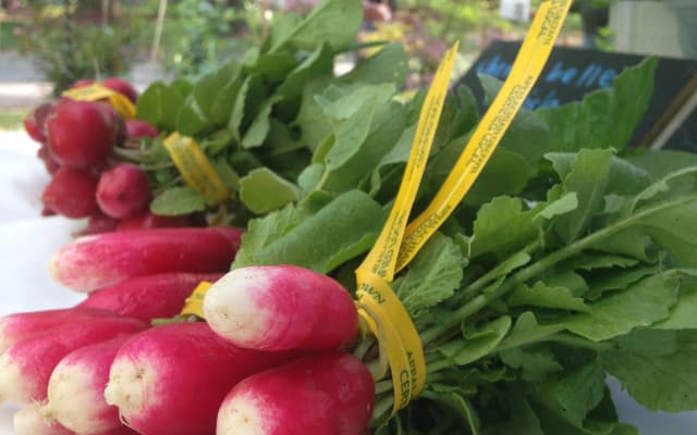 exploreasheville.com exploreasheville.com