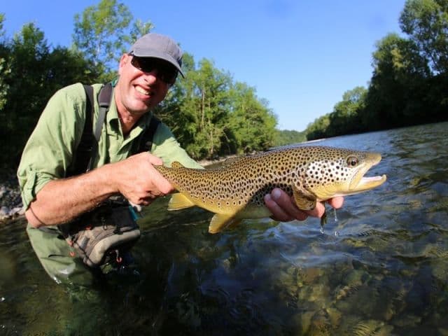 exploreasheville.com exploreasheville.com