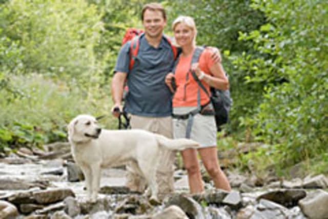 exploreasheville.com exploreasheville.com