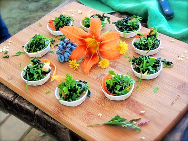 exploreasheville.com exploreasheville.com