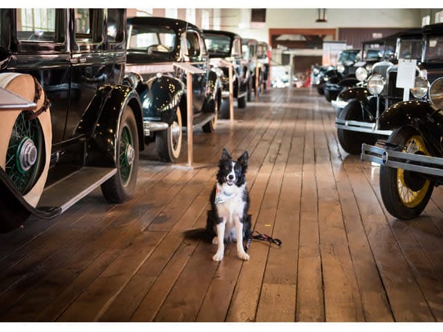 exploreasheville.com exploreasheville.com