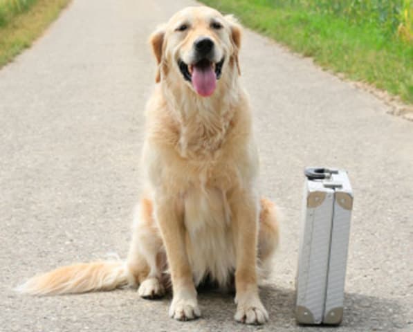 exploreasheville.com exploreasheville.com