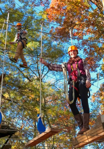 exploreasheville.com exploreasheville.com