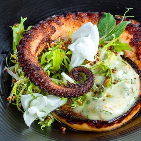 exploreasheville.com exploreasheville.com