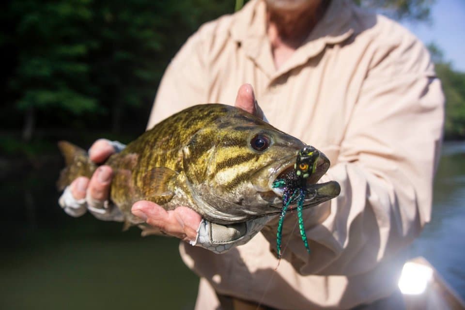 exploreasheville.com exploreasheville.com