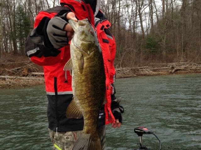 exploreasheville.com exploreasheville.com