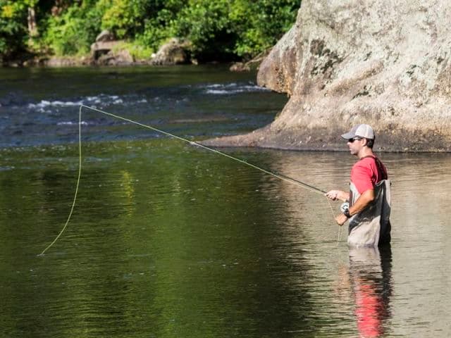 exploreasheville.com exploreasheville.com