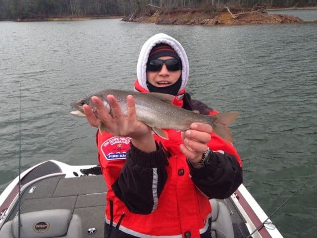 exploreasheville.com exploreasheville.com