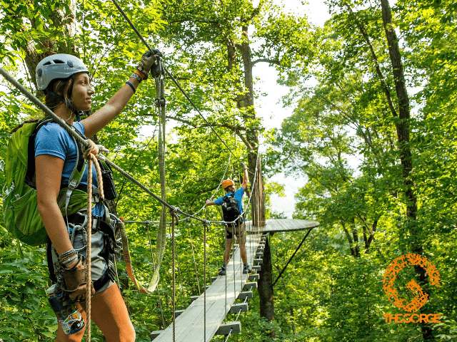 exploreasheville.com exploreasheville.com