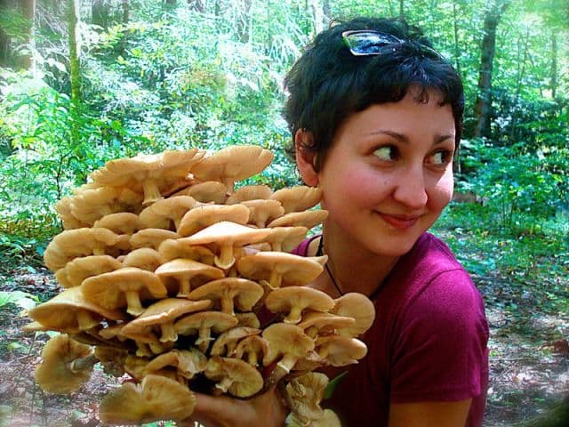 exploreasheville.com exploreasheville.com