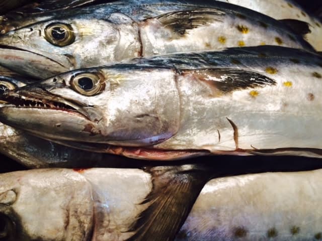 exploreasheville.com exploreasheville.com