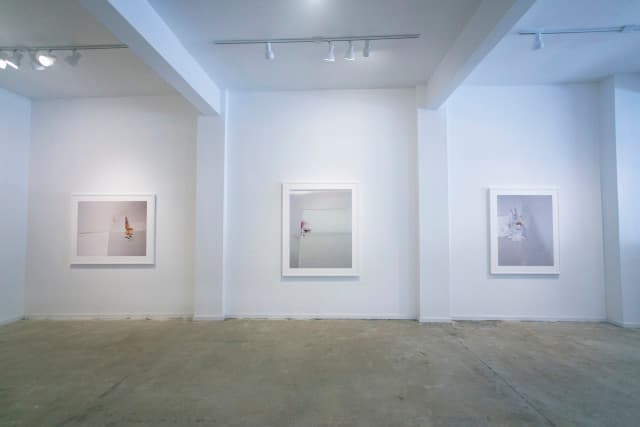 exploreasheville.com exploreasheville.com