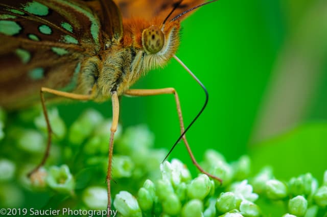 exploreasheville.com exploreasheville.com