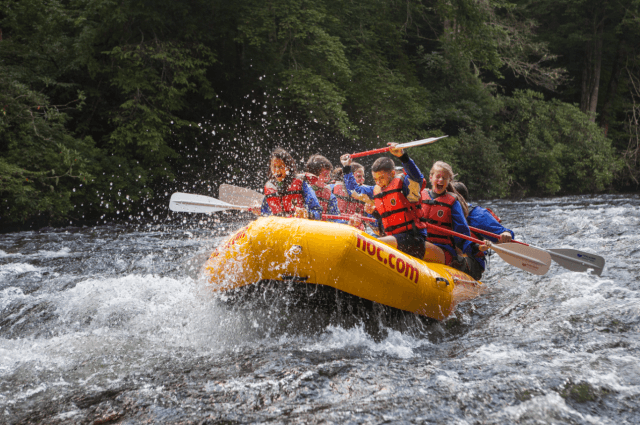 exploreasheville.com exploreasheville.com