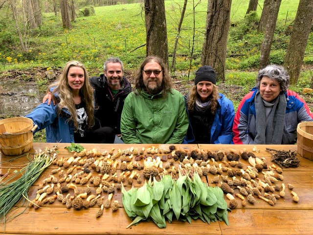 exploreasheville.com exploreasheville.com