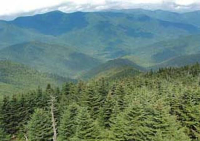 exploreasheville.com exploreasheville.com