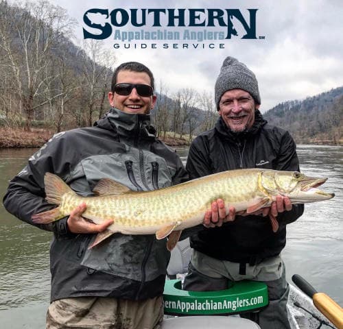 exploreasheville.com exploreasheville.com