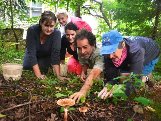 exploreasheville.com exploreasheville.com