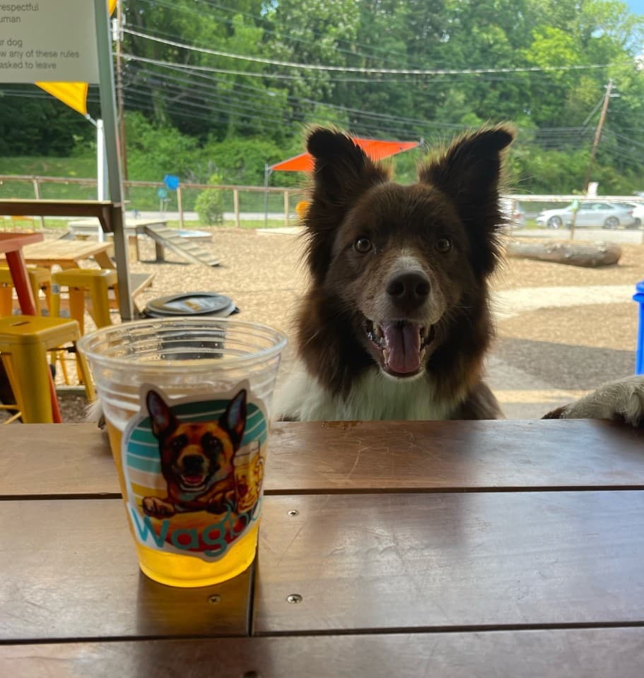 exploreasheville.com exploreasheville.com