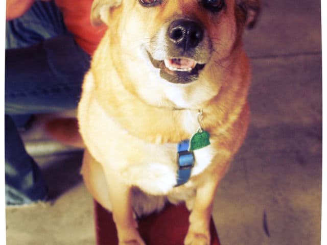 exploreasheville.com exploreasheville.com