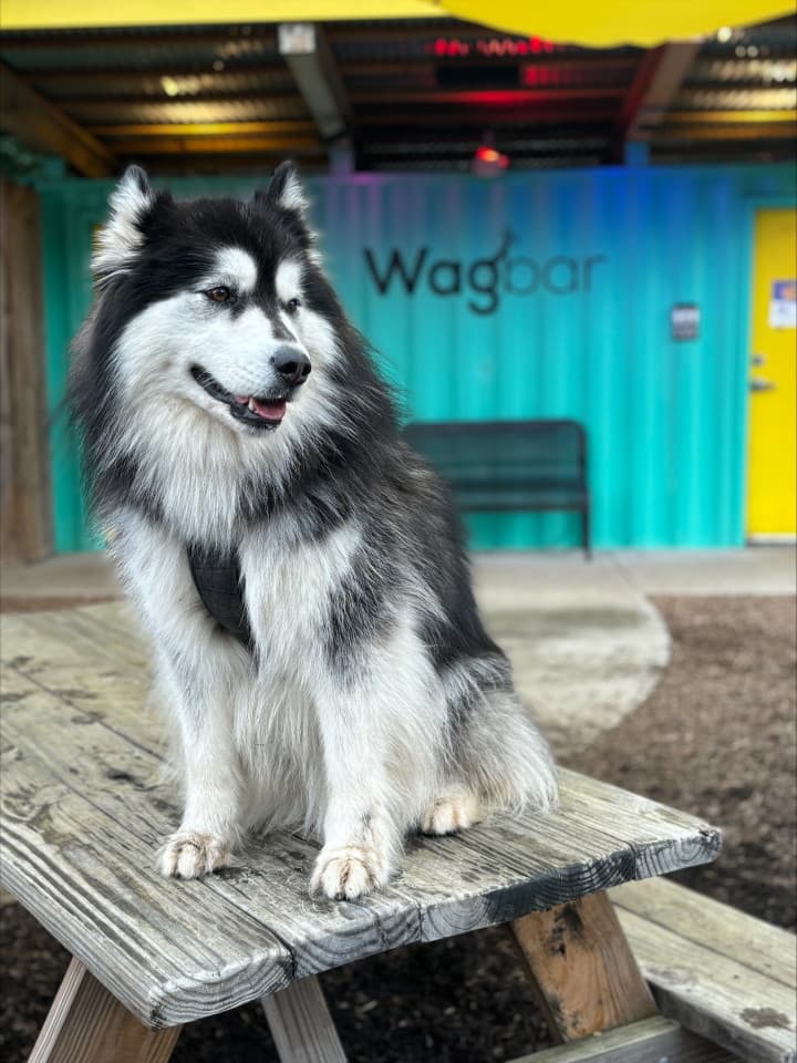 exploreasheville.com exploreasheville.com