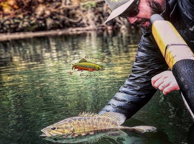 exploreasheville.com exploreasheville.com