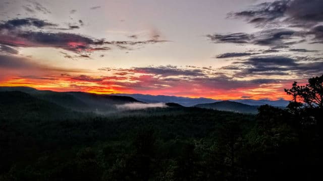 exploreasheville.com exploreasheville.com