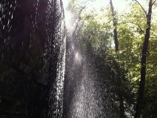 exploreasheville.com exploreasheville.com