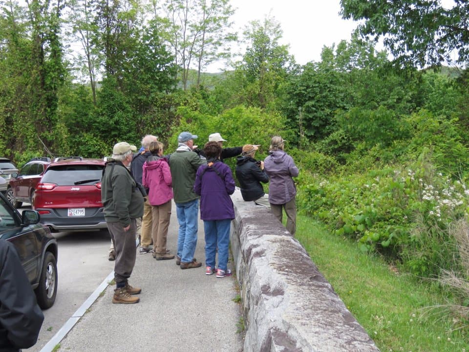 exploreasheville.com exploreasheville.com