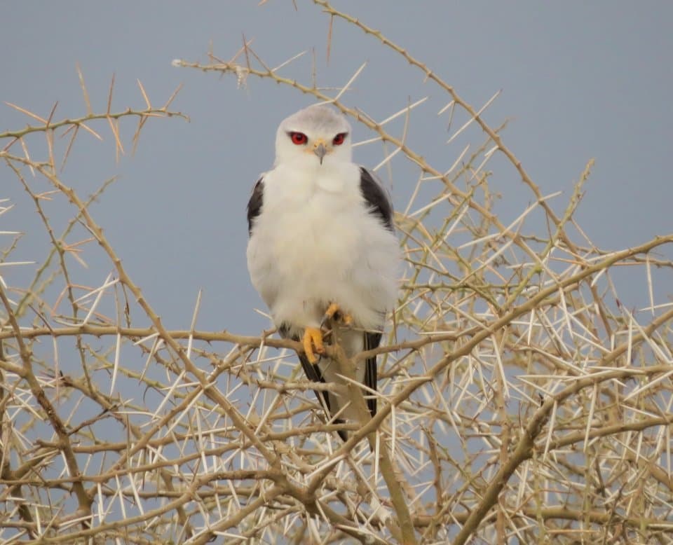 exploreasheville.com exploreasheville.com