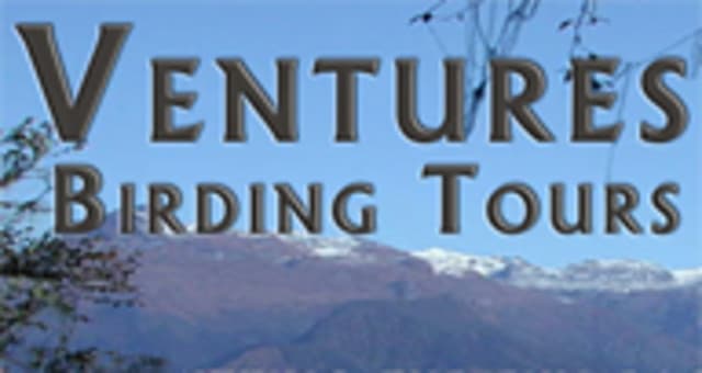 exploreasheville.com exploreasheville.com