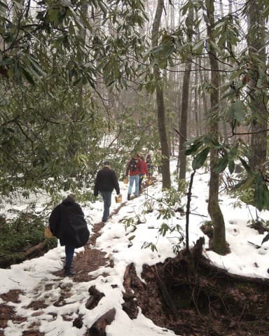 exploreasheville.com exploreasheville.com