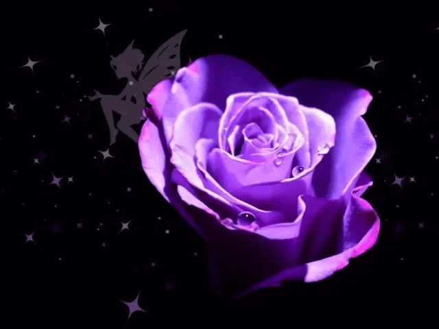 exploreasheville.com exploreasheville.com