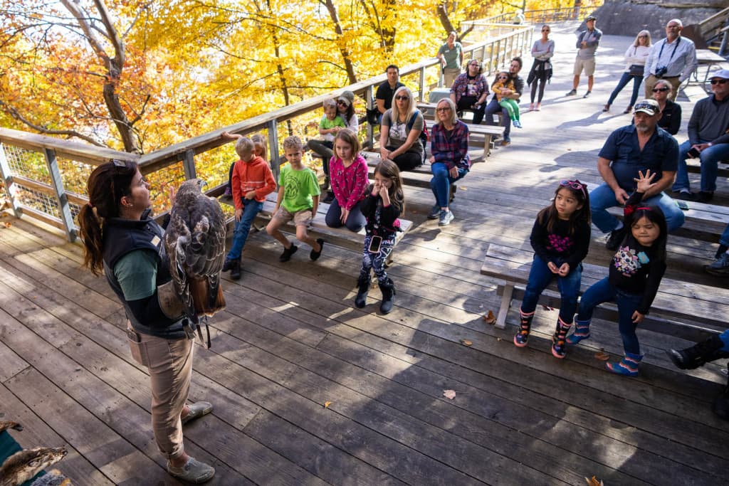 exploreasheville.com exploreasheville.com