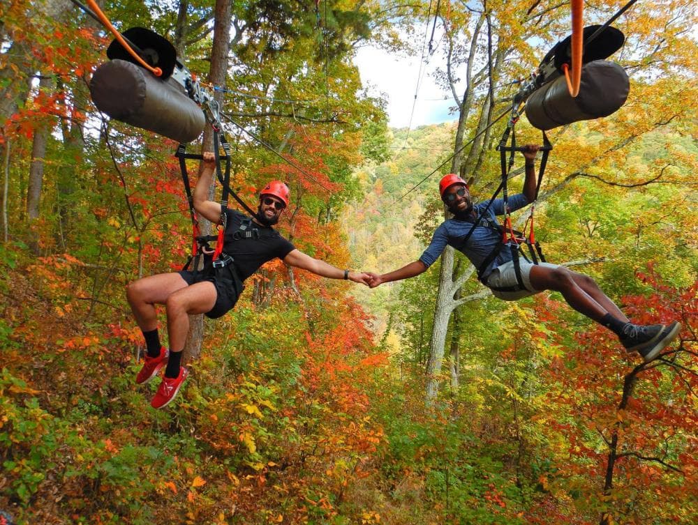 Two men holding hands ziplining through forest with fall-colored leaves at Navitat Two men holding hands ziplining through forest with fall-colored leaves at Navitat